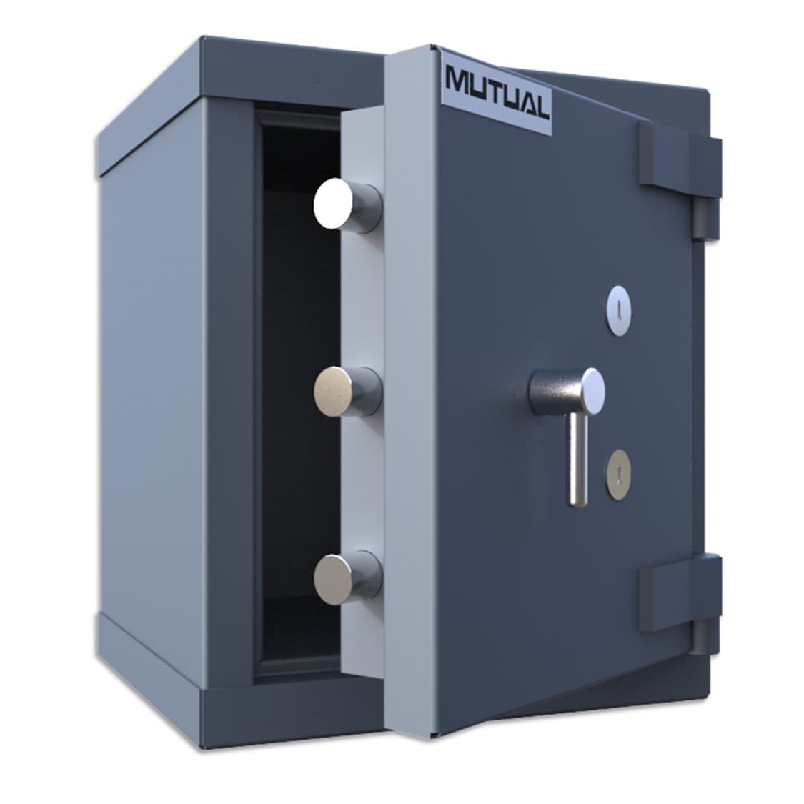 LS-65-CAT-3-safe.jpg