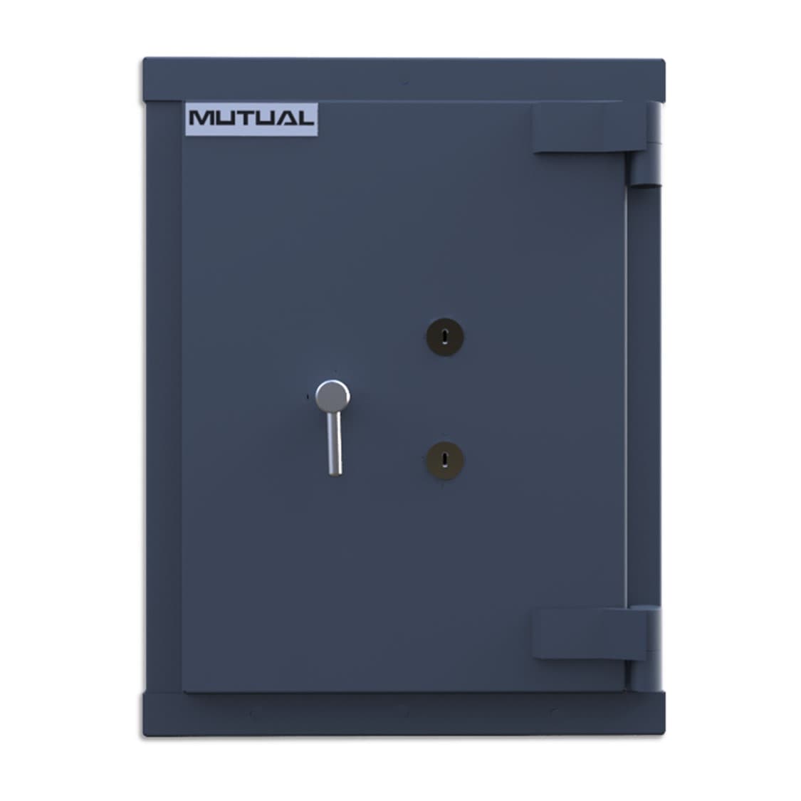 LS175-CAT-3-safe-front.jpg